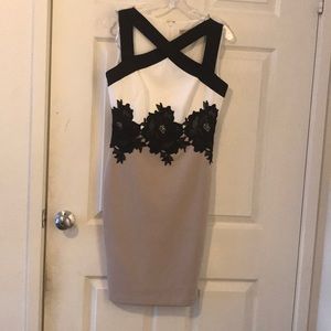 Dress barn A-Line dress